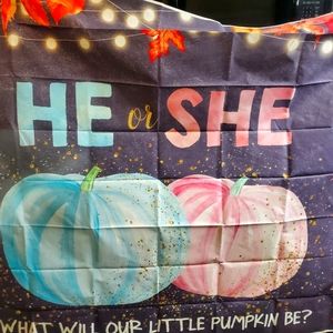 Back drop for gender reveal